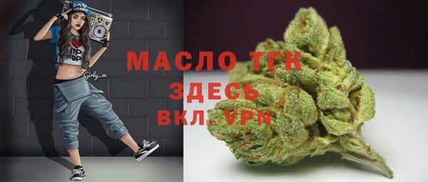 сатива Новозыбков